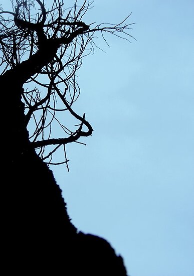oak tree silhouette clip art. -oak-tree-silhouette-