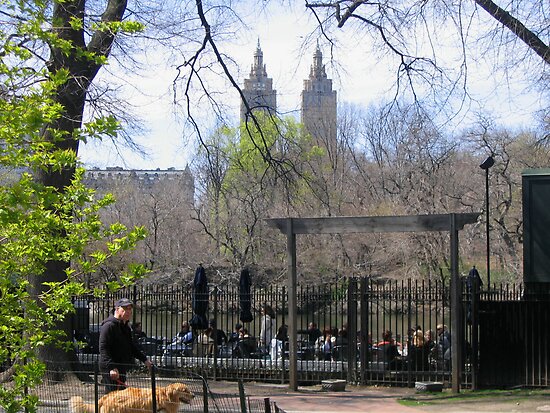 central park spring pictures. central park spring.