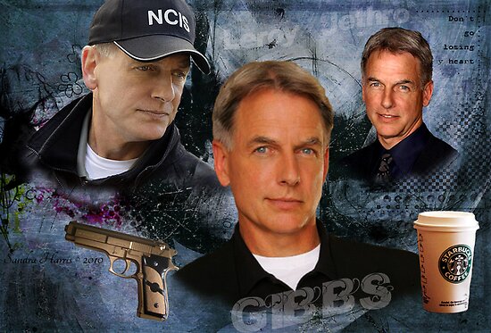 Leroy Jethro Gibbs by Sandra