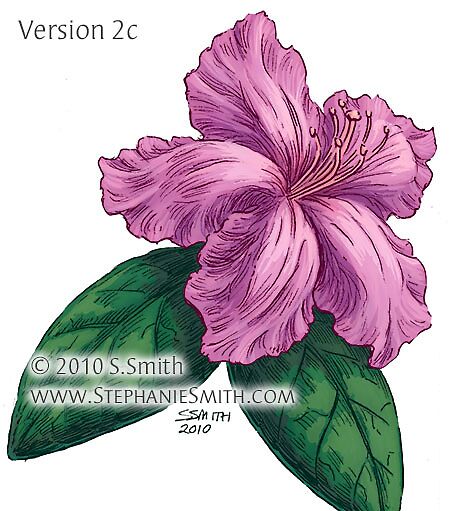 Azalea Flower Drawing