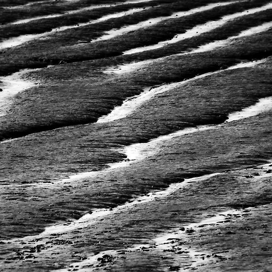 black and white patterns to print. mudflat patterns in lack amp;