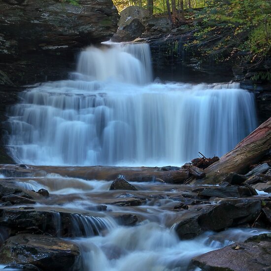 Ricketts Glen State Park. Ricketts Glen State Park