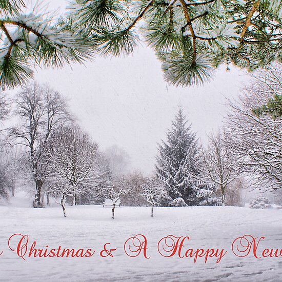 Greeting's Card ~ Merry Christmas & A Happy New Year ~ by Sandra Cockayne
