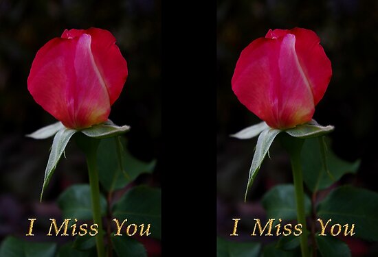 rose bud "i miss you" card by dedmanshootn