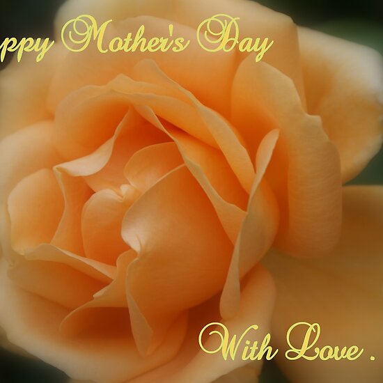 madreporic plate. mother day greeting card.