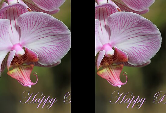 work.6952603.1.flat,550x550,075,f.happy-birthday-orchid-card.jpg