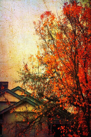 Autumn in Bendigo by Caroline Duncan Autumn in Bendigo by Caroline Duncan