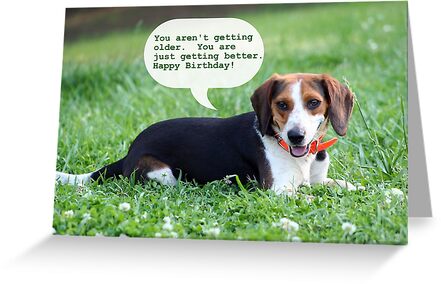 Birthday Beagle