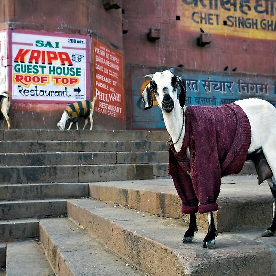 Street Photography: Woolly Jumper by Mark Smart Street Photography: Woolly Jumper by Mark Smart