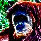 Orangutan by Edvar