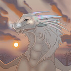 Splashed-Raven