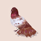 hypo-critter