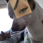 IveSleppy
