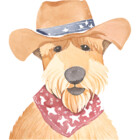 HonkyTonk2025