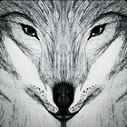 WolfErikson1