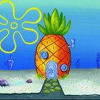 Pineapplexpress