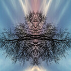 Tessjphoto