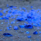 shardsofblue