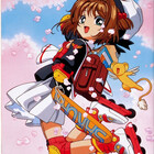 Sakura23