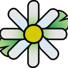 sadiehave