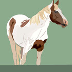 HalcyonEquine