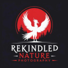 unfazedphoenix