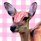 OnBambisMind