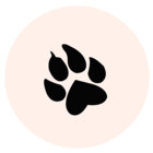 FoxglovesGifts