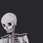 dxynxb