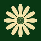 Dyarwan