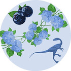 blueberry-dino