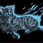 JayShadow