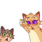 sun-katt