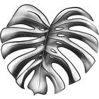PaintShui