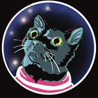ChokkieTheCat