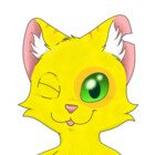Yordraw