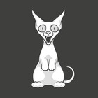 dienacktkatze