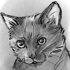 DeddiesDrawings