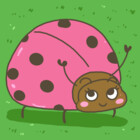 MszPink