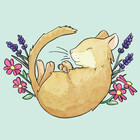 SleepyDormouse