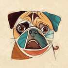 Petsthetic
