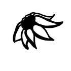 KonaNui