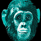 MonkeyRepublic