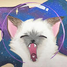 SpaceCuties