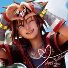 stupidsora