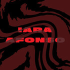 iaraisworkingrn