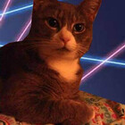 erincheshirecat