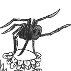 KwekuAnansi