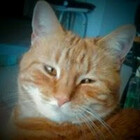 Garfieldrules