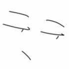 zotte